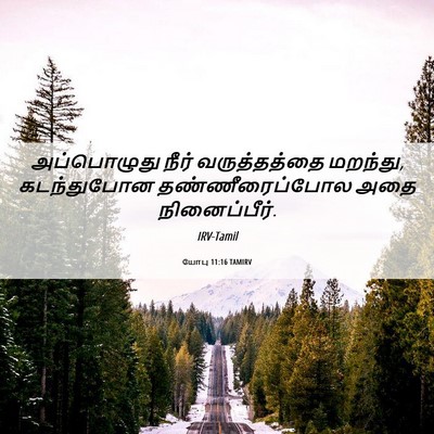 Picture 06 - யோபு 11:16 TAMIRV - அப்பொழுது நீர் - Bible Verse Picture