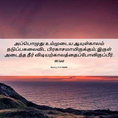 Picture 06 - யோபு 11:17 TAMIRV - அப்பொழுது - Bible Verse Picture