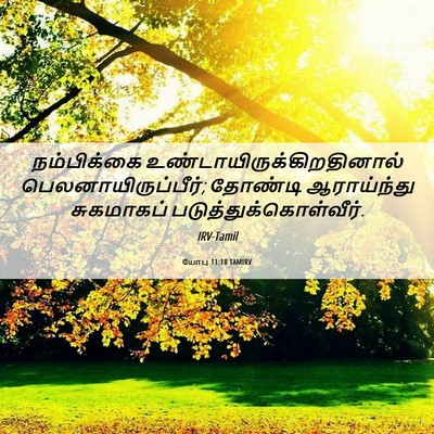 Picture 06 - யோபு 11:18 TAMIRV - நம்பிக்கை - Bible Verse Picture