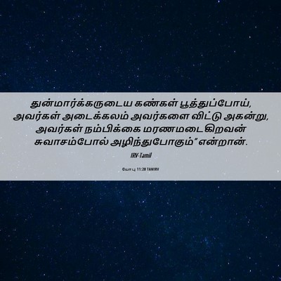 Picture 06 - யோபு 11:20 TAMIRV - துன்மார்க்கருடைய - Bible Verse Picture