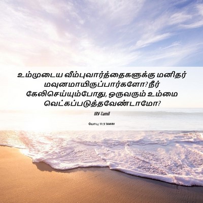 Picture 06 - யோபு 11:3 TAMIRV - உம்முடைய - Bible Verse Picture