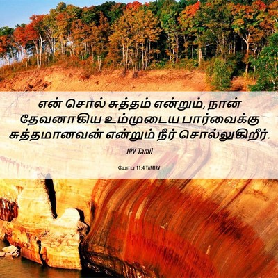Picture 06 - யோபு 11:4 TAMIRV - என் சொல் சுத்தம் - Bible Verse Picture