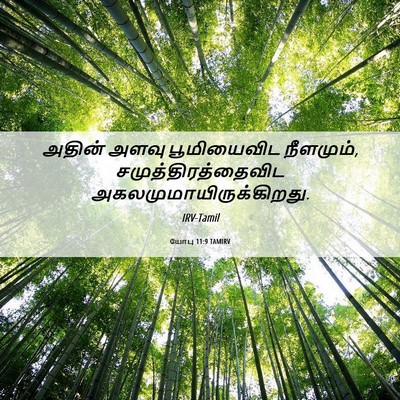 Picture 06 - யோபு 11:9 TAMIRV - அதின் அளவு - Bible Verse Picture