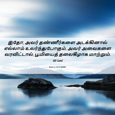 Picture 06 - யோபு 12:15 TAMIRV - இதோ, அவர் - Bible Verse Picture