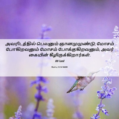 Picture 06 - யோபு 12:16 TAMIRV - அவரிடத்தில் - Bible Verse Picture
