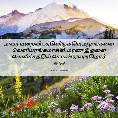 Picture 06 - யோபு 12:22 TAMIRV - அவர் - Bible Verse Picture