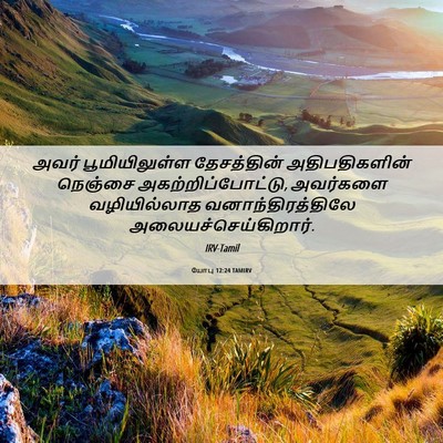 Picture 06 - யோபு 12:24 TAMIRV - அவர் பூமியிலுள்ள - Bible Verse Picture