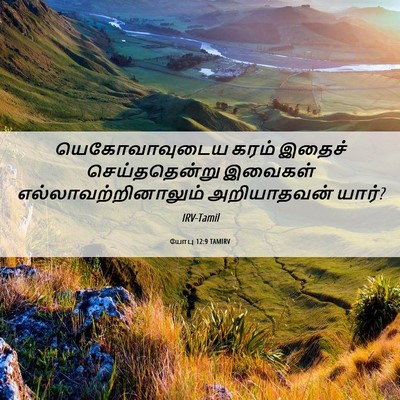 Picture 06 - யோபு 12:9 TAMIRV - யெகோவாவுடைய கரம் - Bible Verse Picture