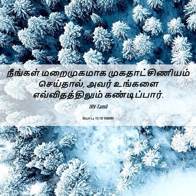 Picture 06 - யோபு 13:10 TAMIRV - நீங்கள் மறைமுகமாக - Bible Verse Picture