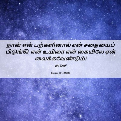 Picture 06 - யோபு 13:14 TAMIRV - நான் என் - Bible Verse Picture