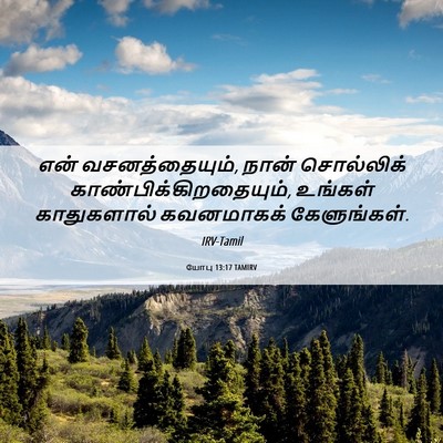 Picture 06 - யோபு 13:17 TAMIRV - என் வசனத்தையும், - Bible Verse Picture