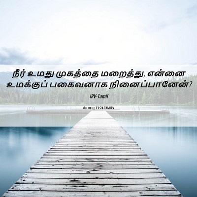 Picture 06 - யோபு 13:24 TAMIRV - நீர் உமது முகத்தை - Bible Verse Picture