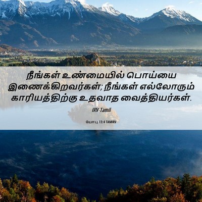 Picture 06 - யோபு 13:4 TAMIRV - நீங்கள் உண்மையில் - Bible Verse Picture