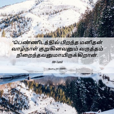 Picture 06 - யோபு 14:1 TAMIRV - “பெண்ணிடத்தில் - Bible Verse Picture
