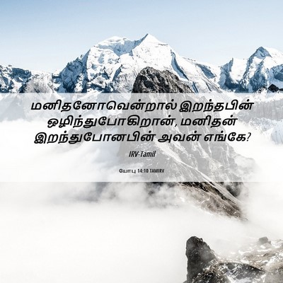 Picture 06 - யோபு 14:10 TAMIRV - மனிதனோவென்றால் - Bible Verse Picture