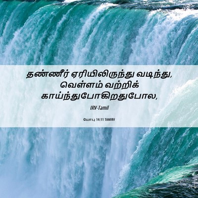 Picture 06 - யோபு 14:11 TAMIRV - தண்ணீர் - Bible Verse Picture