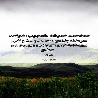 Picture 06 - யோபு 14:12 TAMIRV - மனிதன் - Bible Verse Picture