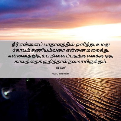 Picture 06 - யோபு 14:13 TAMIRV - நீர் என்னைப் - Bible Verse Picture