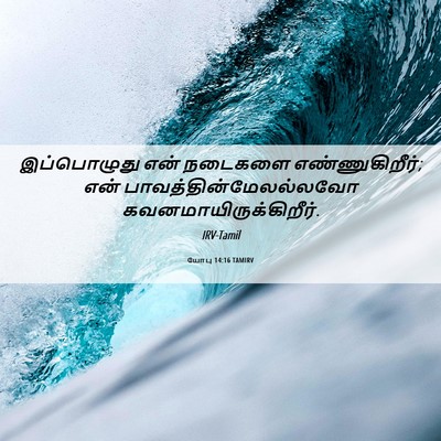 Picture 06 - யோபு 14:16 TAMIRV - இப்பொழுது என் - Bible Verse Picture