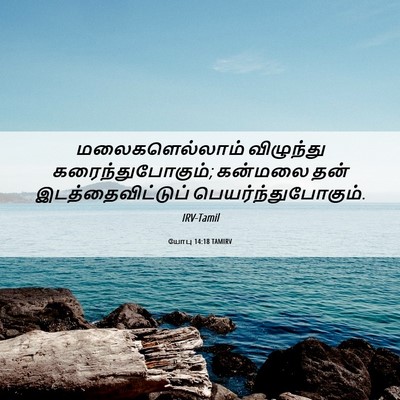 Picture 06 - யோபு 14:18 TAMIRV - மலைகளெல்லாம் - Bible Verse Picture