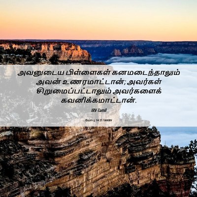 Picture 06 - யோபு 14:21 TAMIRV - அவனுடைய பிள்ளைகள் - Bible Verse Picture