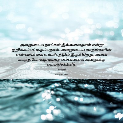 Picture 06 - யோபு 14:5 TAMIRV - அவனுடைய நாட்கள் - Bible Verse Picture