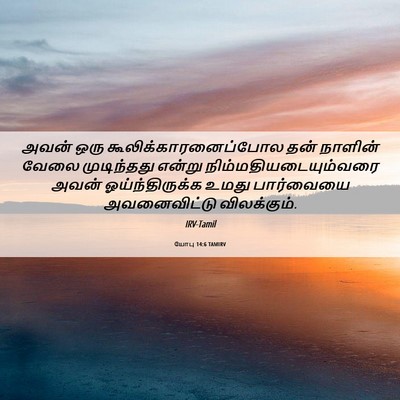 Picture 06 - யோபு 14:6 TAMIRV - அவன் ஒரு - Bible Verse Picture