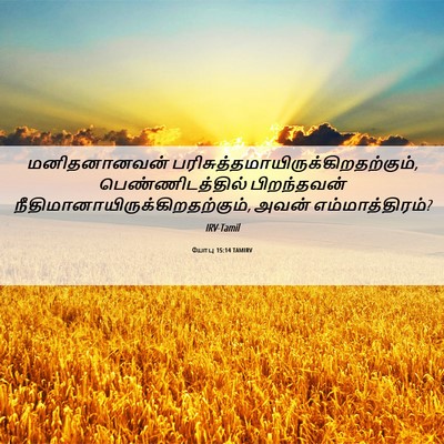 Picture 06 - யோபு 15:14 TAMIRV - மனிதனானவன் - Bible Verse Picture