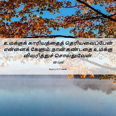 Picture 06 - யோபு 15:17 TAMIRV - உமக்குக் - Bible Verse Picture