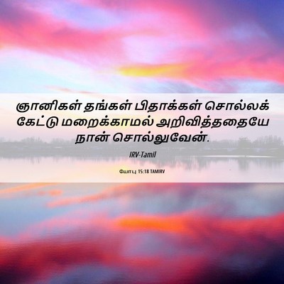 Picture 06 - யோபு 15:18 TAMIRV - ஞானிகள் தங்கள் - Bible Verse Picture