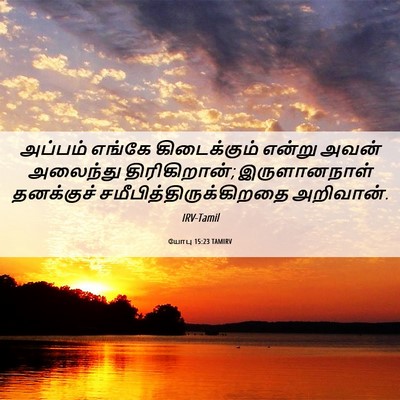 Picture 06 - யோபு 15:23 TAMIRV - அப்பம் எங்கே - Bible Verse Picture