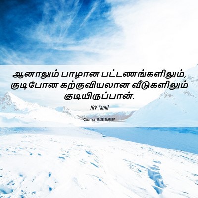 Picture 06 - யோபு 15:28 TAMIRV - ஆனாலும் பாழான - Bible Verse Picture
