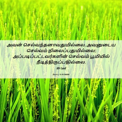 Picture 06 - யோபு 15:29 TAMIRV - அவன் - Bible Verse Picture