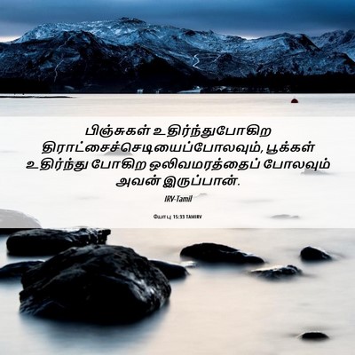 Picture 06 - யோபு 15:33 TAMIRV - பிஞ்சுகள் - Bible Verse Picture