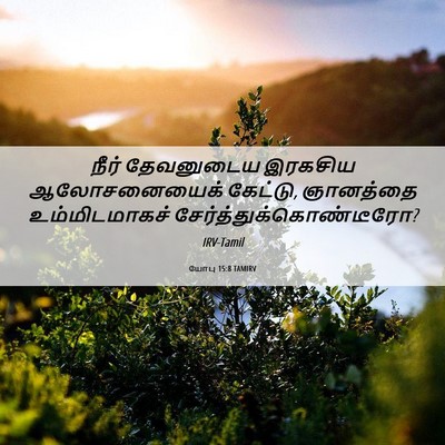 Picture 06 - யோபு 15:8 TAMIRV - நீர் தேவனுடைய - Bible Verse Picture