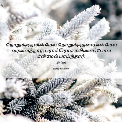 Picture 06 - யோபு 16:14 TAMIRV -  - Bible Verse Picture