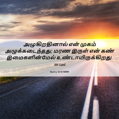 Picture 06 - யோபு 16:16 TAMIRV - அழுகிறதினால் என் - Bible Verse Picture