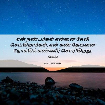 Picture 06 - யோபு 16:20 TAMIRV - என் நண்பர்கள் - Bible Verse Picture