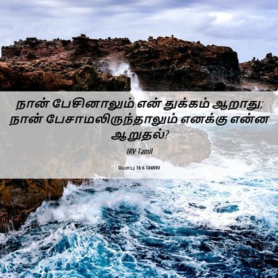 Picture 06 - யோபு 16:6 TAMIRV - நான் பேசினாலும் - Bible Verse Picture