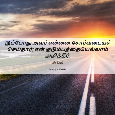 Picture 06 - யோபு 16:7 TAMIRV - இப்போது அவர் - Bible Verse Picture