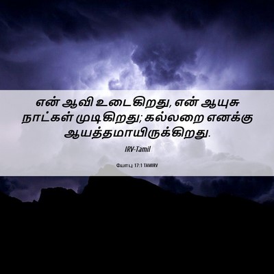 Picture 06 - யோபு 17:1 TAMIRV - என் ஆவி உடைகிறது, - Bible Verse Picture