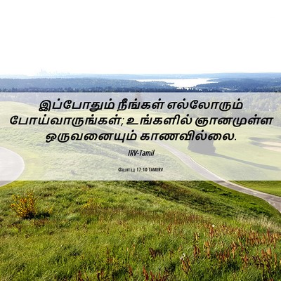 Picture 06 - யோபு 17:10 TAMIRV - இப்போதும் நீங்கள் - Bible Verse Picture