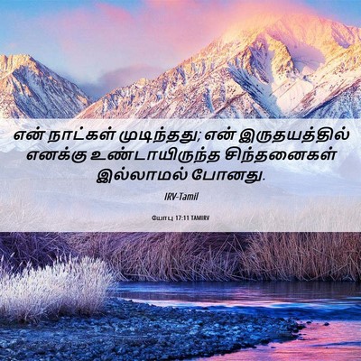 Picture 06 - யோபு 17:11 TAMIRV - என் நாட்கள் - Bible Verse Picture
