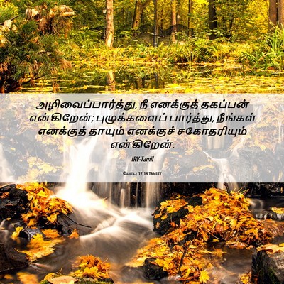 Picture 06 - யோபு 17:14 TAMIRV - அழிவைப்பார்த்து, - Bible Verse Picture