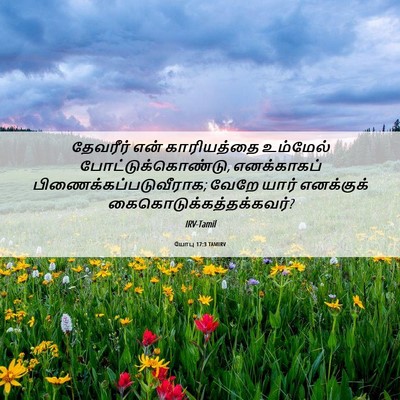 Picture 06 - யோபு 17:3 TAMIRV - தேவரீர் என் - Bible Verse Picture