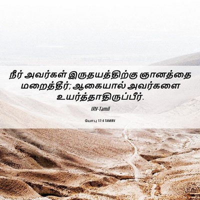 Picture 06 - யோபு 17:4 TAMIRV - நீர் அவர்கள் - Bible Verse Picture