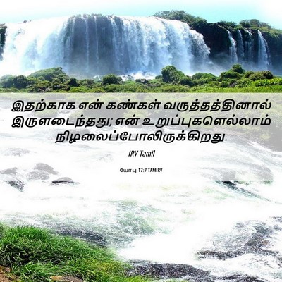 Picture 06 - யோபு 17:7 TAMIRV - இதற்காக என் - Bible Verse Picture