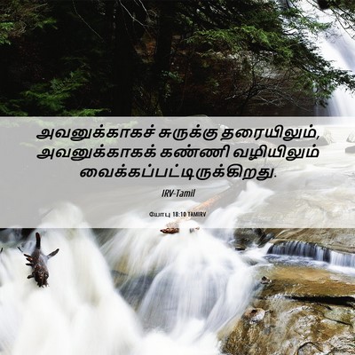 Picture 06 - யோபு 18:10 TAMIRV - அவனுக்காகச் - Bible Verse Picture