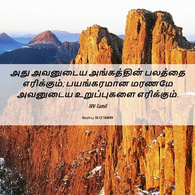 Picture 06 - யோபு 18:13 TAMIRV - அது அவனுடைய - Bible Verse Picture
