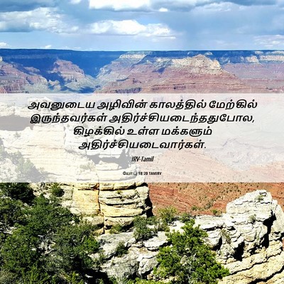 Picture 06 - யோபு 18:20 TAMIRV - அவனுடைய அழிவின் - Bible Verse Picture